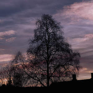 Lillehammer • Norway | Titolo | vibrante resiste...