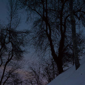 Alberi d'inverno • Cuneo • Piedmont • Italy | Titolo | Scarabocchi sottili...