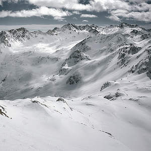 Solitario gregge...